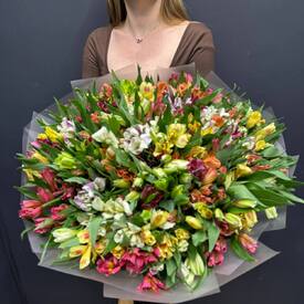 Букет из 51 альстромерии