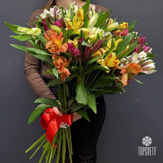 Букет из 51 альстромерии