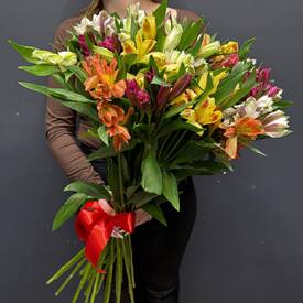 Букет из 51 альстромерии