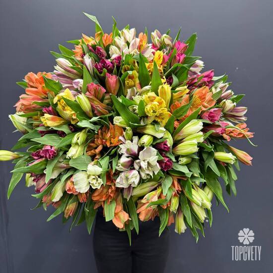Букет из 51 альстромерии