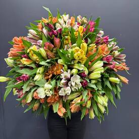 Букет из 51 альстромерии