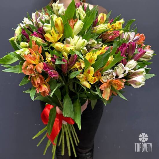 Букет из 51 альстромерии