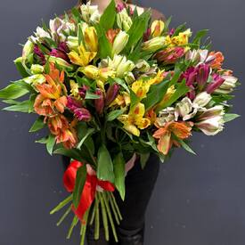 Букет из 51 альстромерии