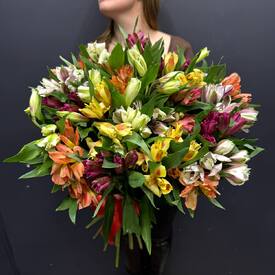 Букет из 51 альстромерии