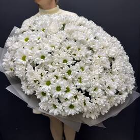 Букет из  51 кустовой хризантемы  Бокарди