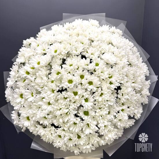 Букет из  51 кустовой хризантемы  Бокарди