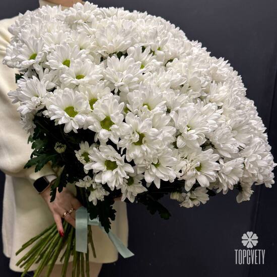 Букет из 51 кустовой хризантемы Бокарди