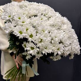 Букет из 51 кустовой хризантемы Бокарди