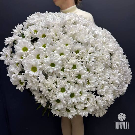 Букет из 51 кустовой хризантемы Бокарди