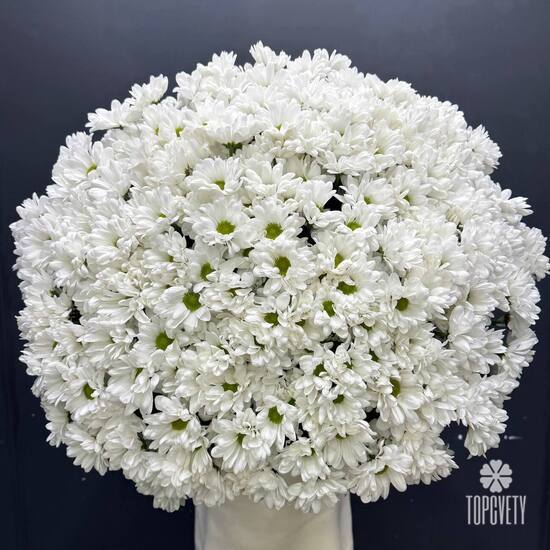 Букет из 51 кустовой хризантемы Бокарди