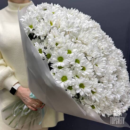 Букет из 35 кустовых хризантем Бокарди 