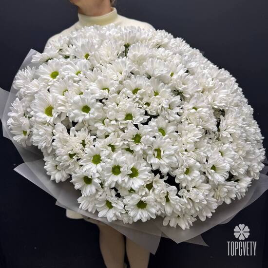 Букет из 35 кустовых хризантем Бокарди 