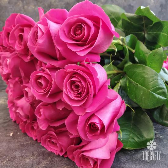 Букет из 25 розовых роз Пинк Флойд 70см