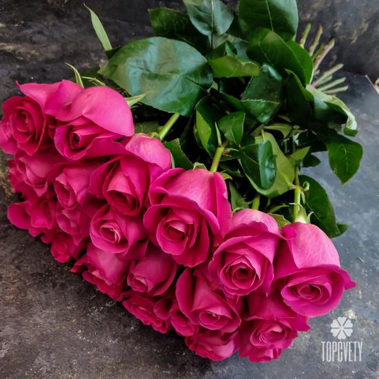 Букет из 25 розовых роз Пинк Флойд 70см