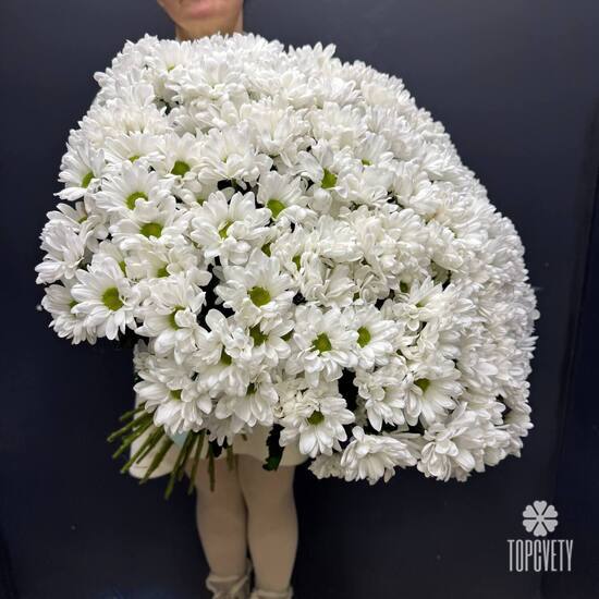 Букет из 35 кустовых хризантем Бокарди