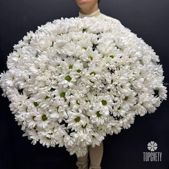 Букет из 35 кустовых хризантем Бокарди