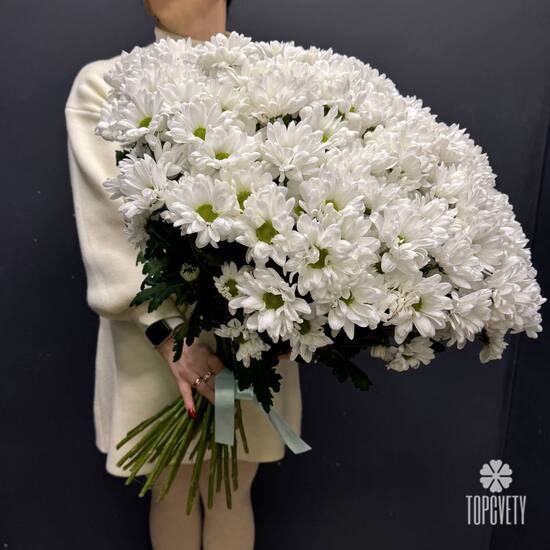 Букет из 35 кустовых хризантем Бокарди