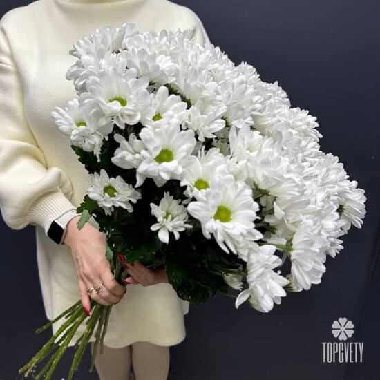 Букет из 15 кустовых хризантем Бокарди