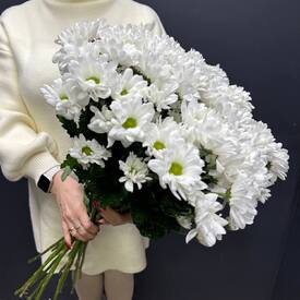 Букет из 15 кустовых хризантем Бокарди