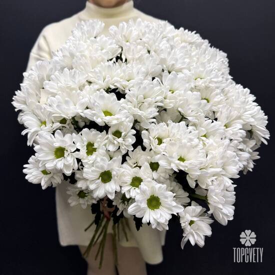 Букет из 15 кустовых хризантем Бокарди