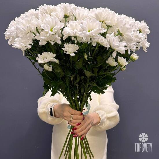 Букет из 15 кустовых хризантем Бокарди
