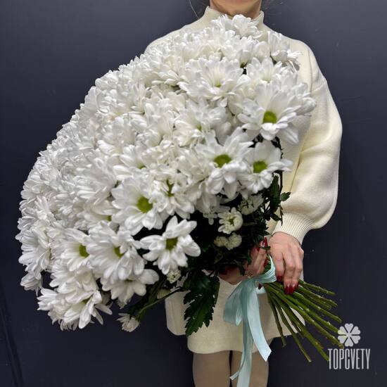 Букет из 25 кустовых хризантем Бокарди