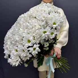 Букет из 25 кустовых хризантем Бокарди