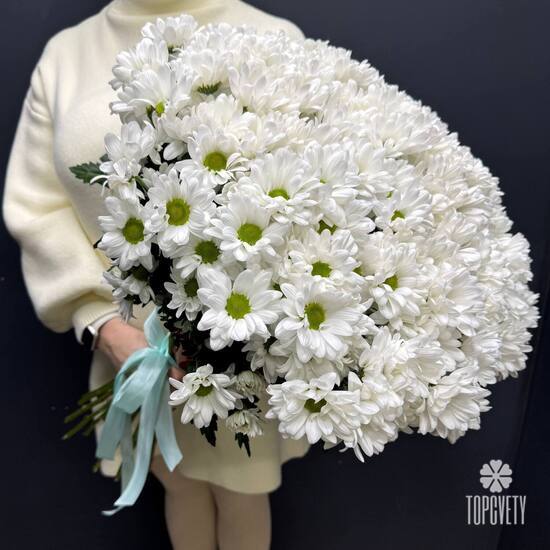 Букет из 25 кустовых хризантем Бокарди