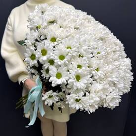 Букет из 25 кустовых хризантем Бокарди