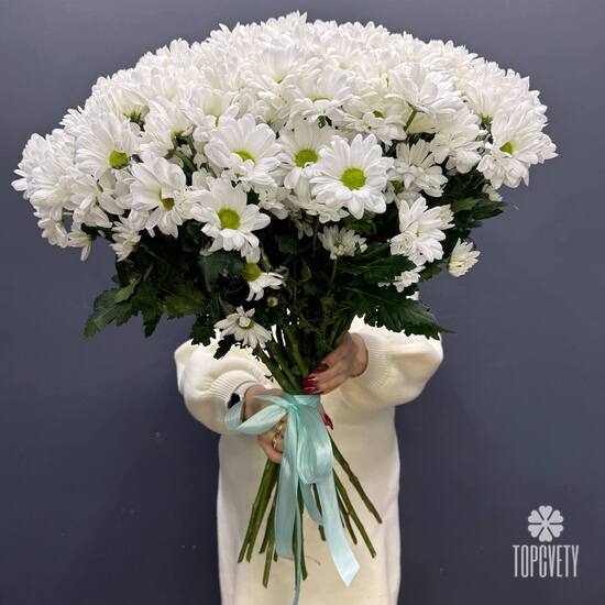 Букет из 25 кустовых хризантем Бокарди