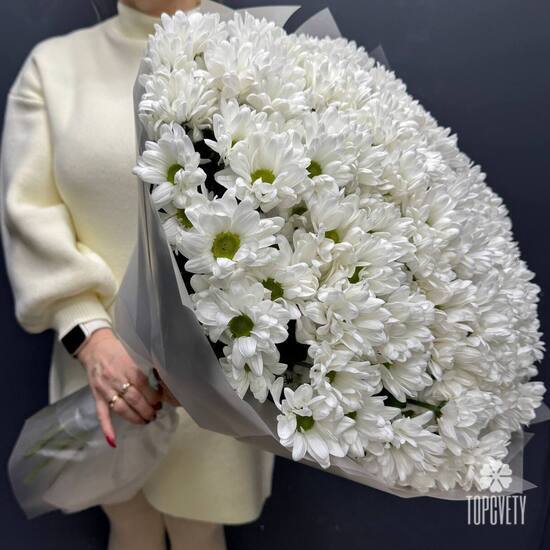 Букет из 25 кустовых хризантем Бокарди