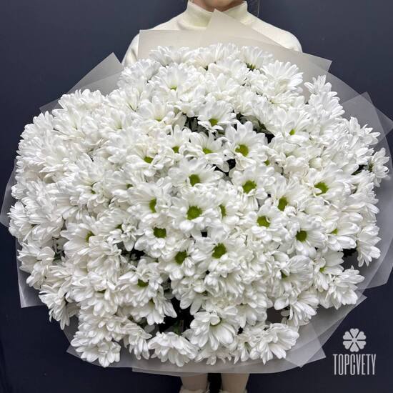 Букет из 25 кустовых хризантем Бокарди