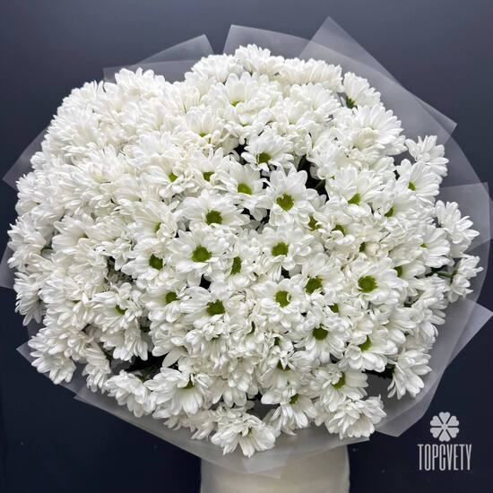 Букет из 25 кустовых хризантем Бокарди