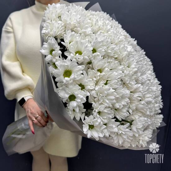 Букет из 25 кустовых хризантем Бокарди