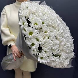 Букет из 25 кустовых хризантем Бокарди