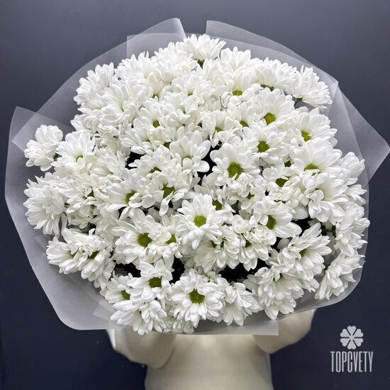  Букет из 15 кустовых хризантем Бокарди