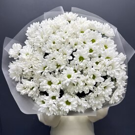  Букет из 15 кустовых хризантем Бокарди