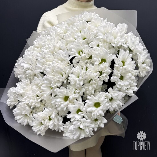  Букет из 15 кустовых хризантем Бокарди