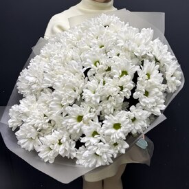  Букет из 15 кустовых хризантем Бокарди