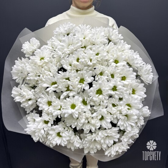  Букет из 15 кустовых хризантем Бокарди