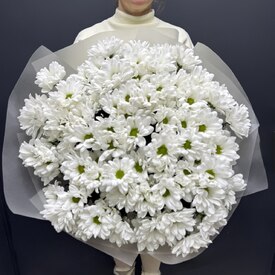  Букет из 15 кустовых хризантем Бокарди