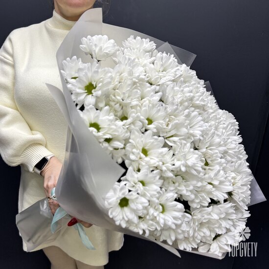  Букет из 15 кустовых хризантем Бокарди