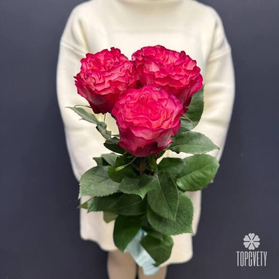 Букет из 3 розовых роз Эквадор 50см