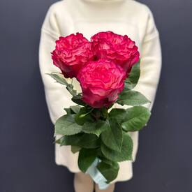 Букет из 3 красных роз Эквадор 50см