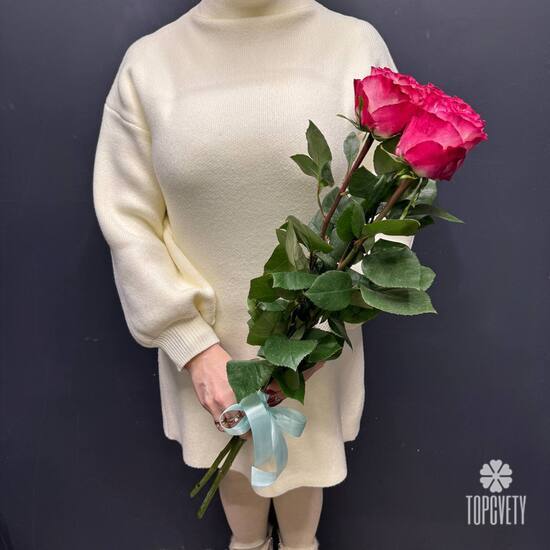 Букет из 3 розовых роз Эквадор 50см