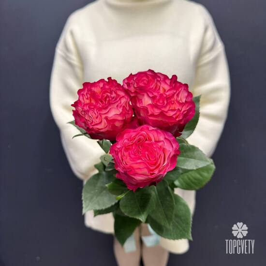 Букет из 3 розовых роз Эквадор 50см