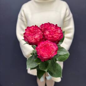 Букет из 3 розовых роз Эквадор 50см