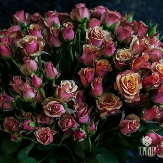 Букет из 19 кустовых роз 50см