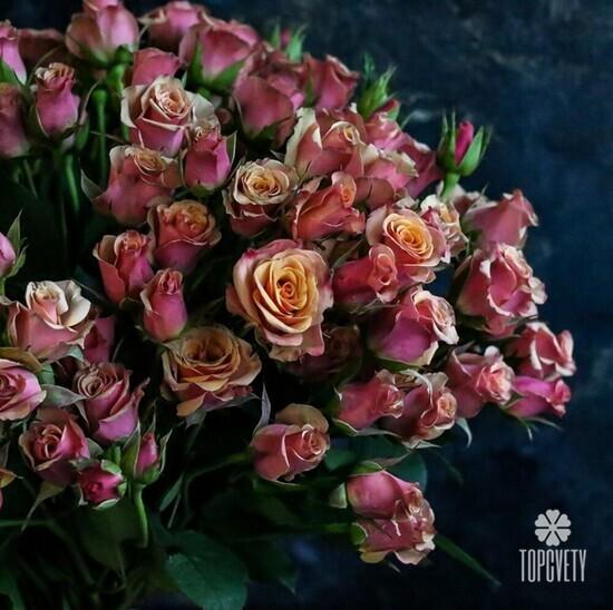 Букет из 19 кустовых роз 50см