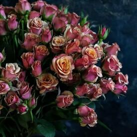 Букет из 19 кустовых роз 50см